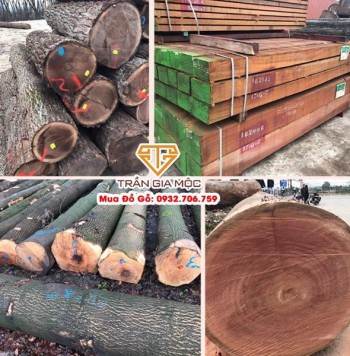 Các Loại Gỗ Chịu Nước Tốt Nhất Trên Thị Trường - Cách Nhận Biết