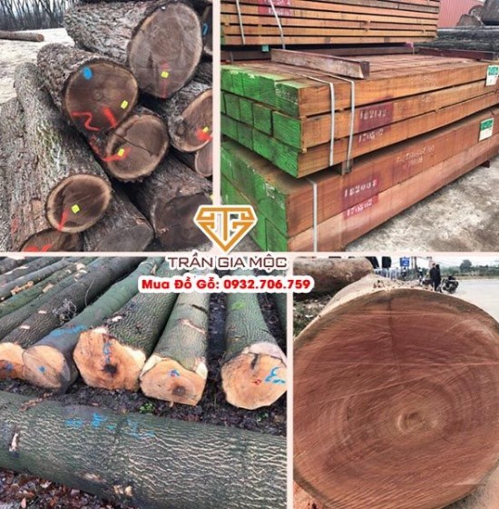 Các Loại Gỗ Chịu Nước Tốt Nhất Trên Thị Trường - Cách Nhận Biết