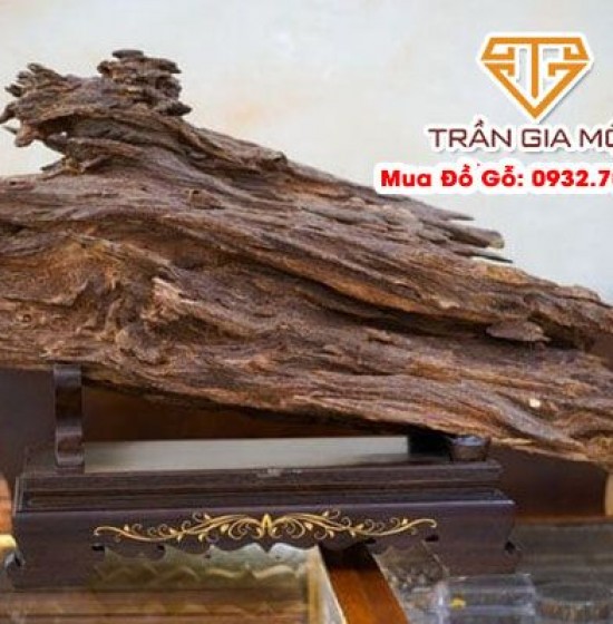 Thu Mua Gỗ Trầm Hương – Giữ Lại Giá Trị Quý Của Tinh Hoa Đất Trời